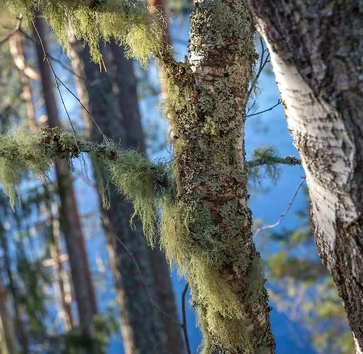 Mustikkakallio Luxury Villa *