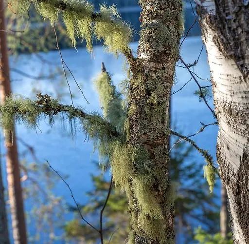 Villa Mustikkakallio Luxury