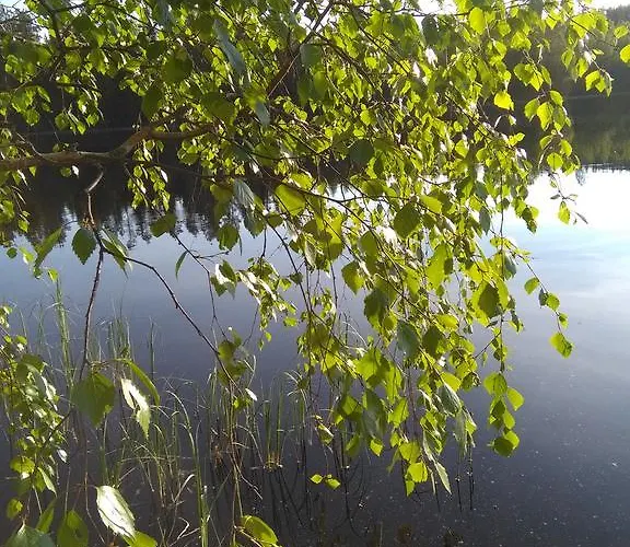 Mustikkakallio Luxury